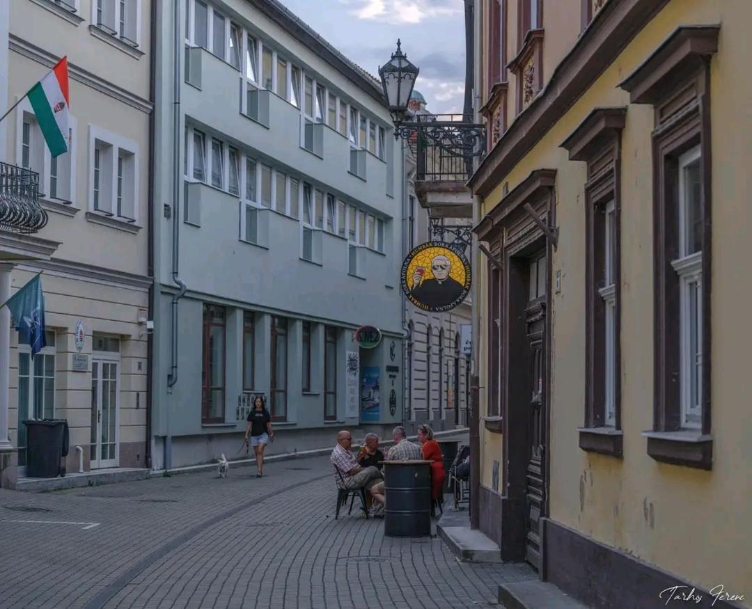 Albina Apartman Eger Exterior photo