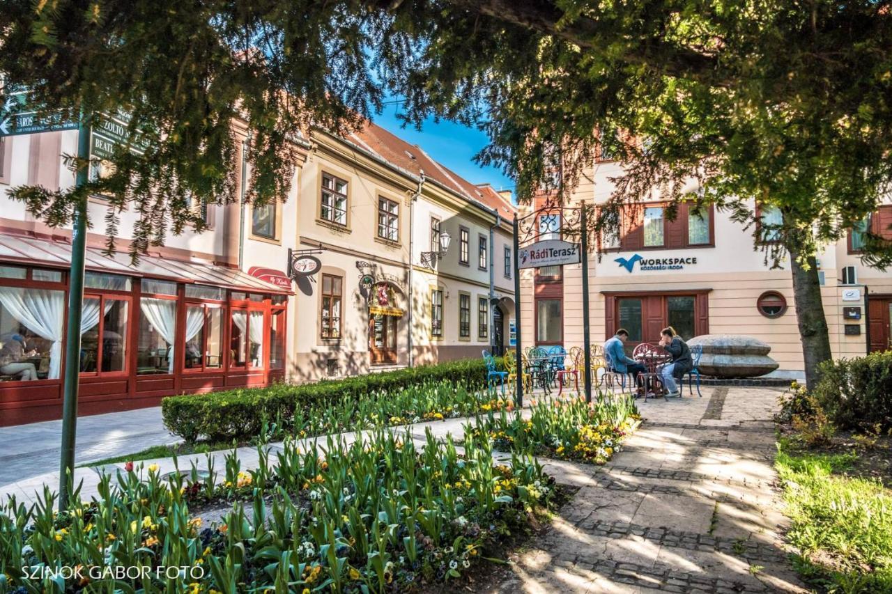 Albina Apartman Eger Exterior photo
